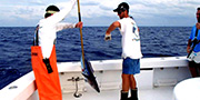 3 day offshore fishing trips